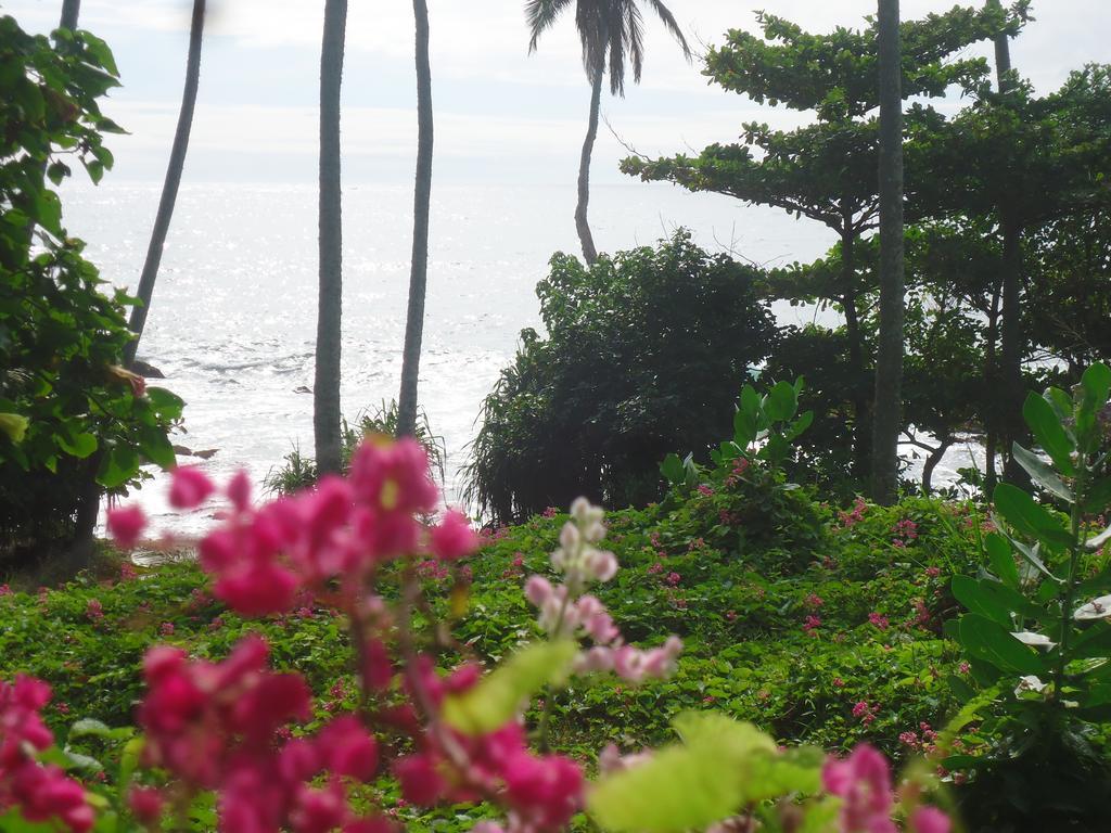 Masha Beach Inn Tangalle Exterior foto