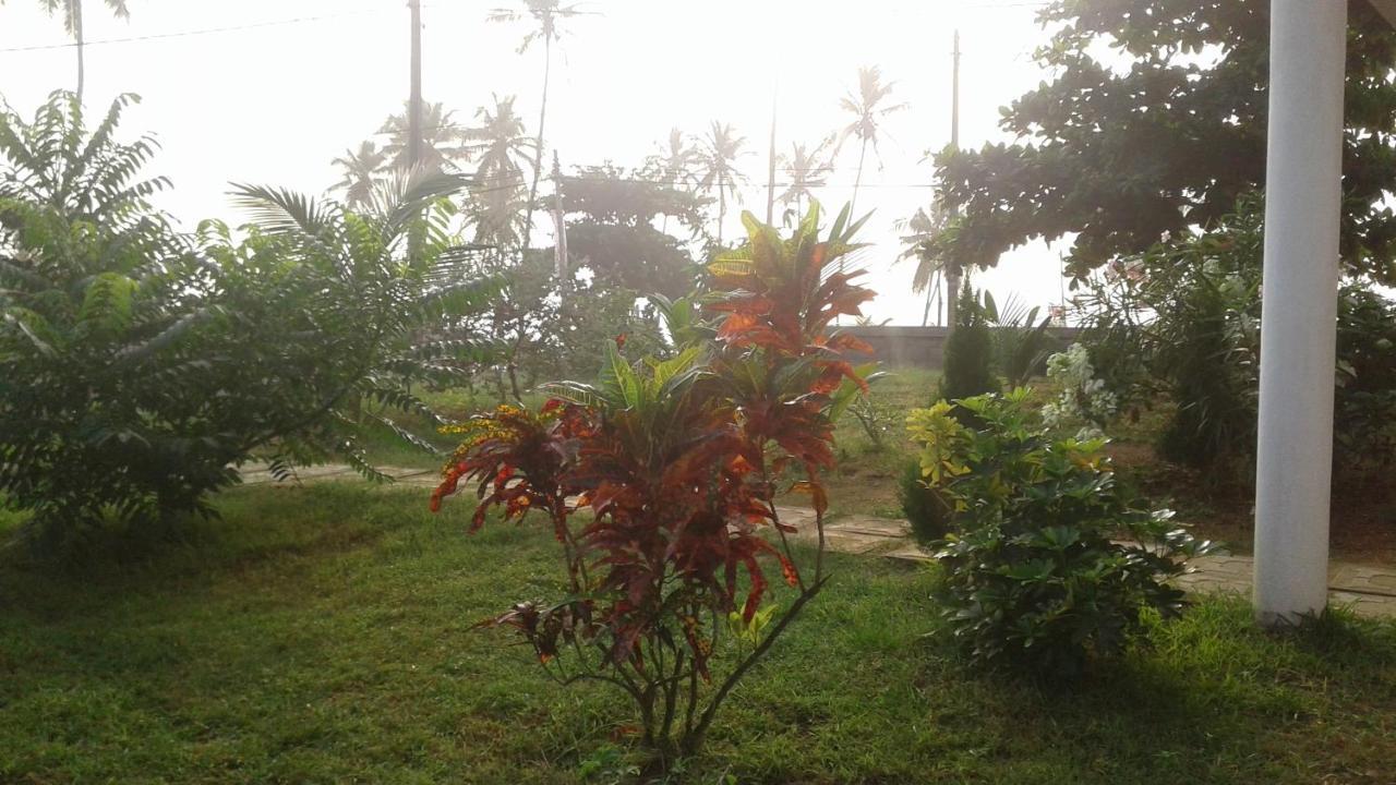 Masha Beach Inn Tangalle Exterior foto